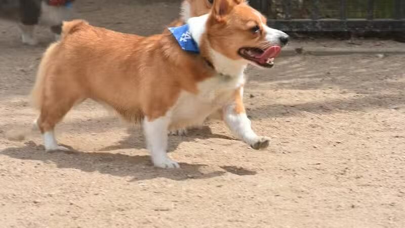 Wisner Playground - New Orleans, LA