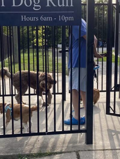 Wisner Playground - New Orleans, LA