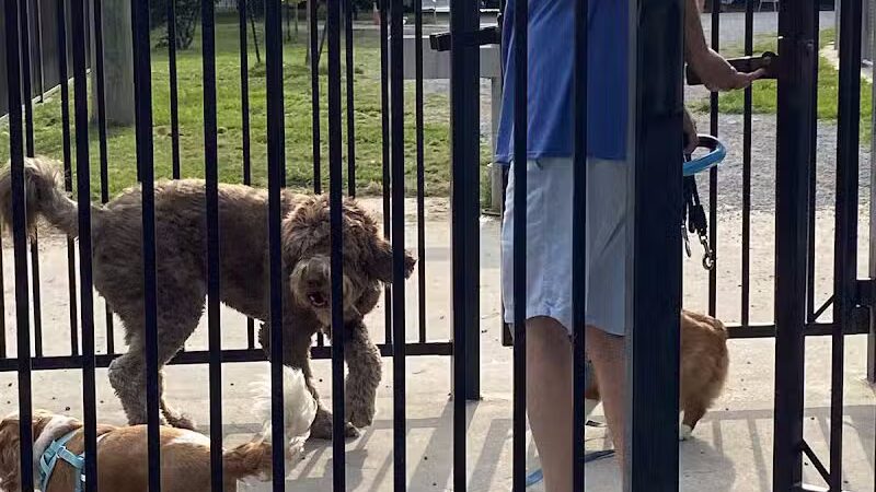 Wisner Playground - New Orleans, LA