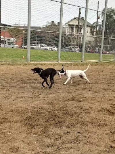 Wisner Playground - New Orleans, LA