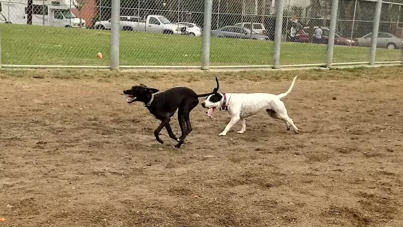 Wisner Playground - New Orleans, LA