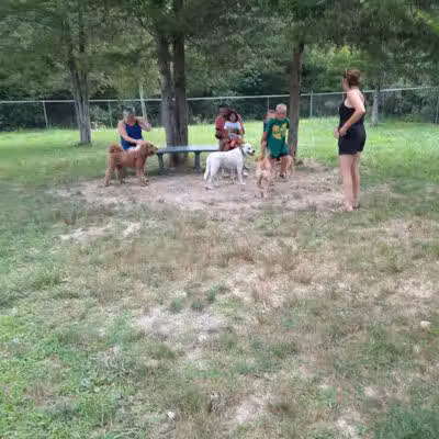 For Paws Of Ulster Dog Park - New Paltz, NY