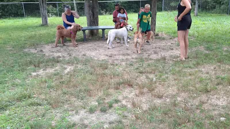 For Paws Of Ulster Dog Park - New Paltz, NY