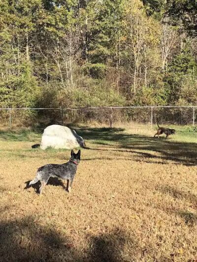 Ulster County Dog Park - New Paltz, NY