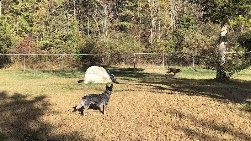 Ulster County Dog Park - New Paltz, NY