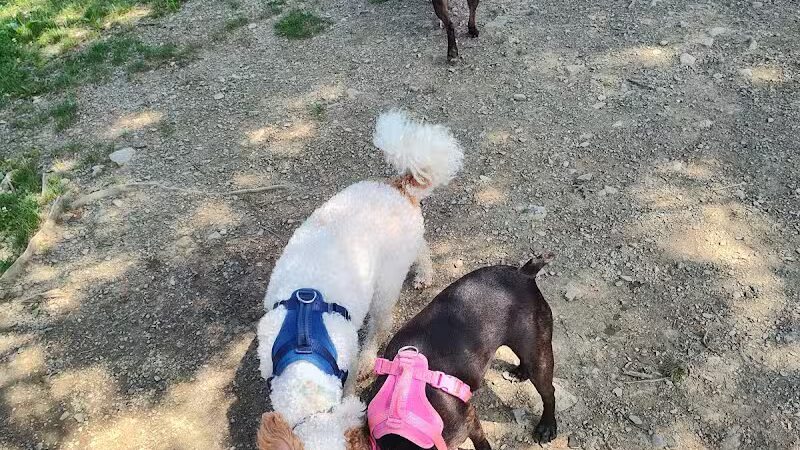 Ulster County Dog Park - New Paltz, NY