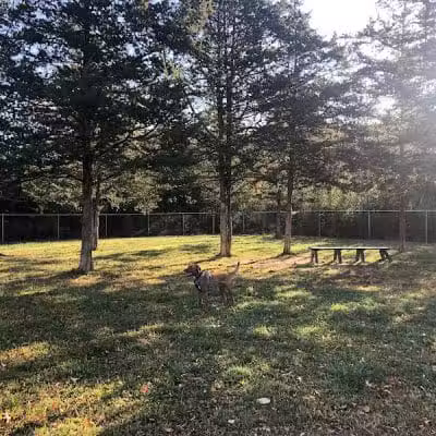 Ulster County Dog Park - New Paltz, NY