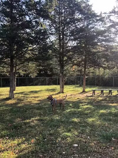 Ulster County Dog Park - New Paltz, NY