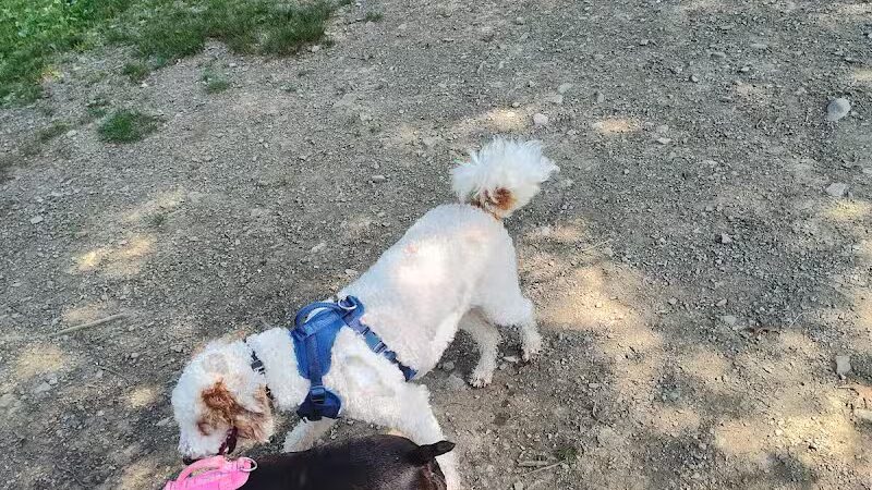 Ulster County Dog Park - New Paltz, NY