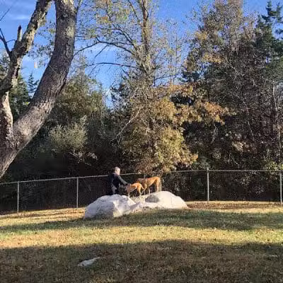 Ulster County Dog Park - New Paltz, NY