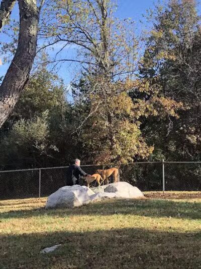 Ulster County Dog Park - New Paltz, NY