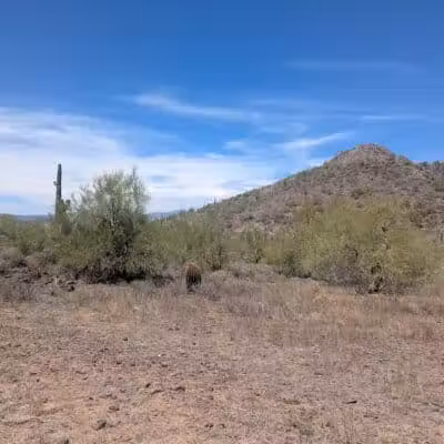 New River Kiwanis Park - New River, AZ