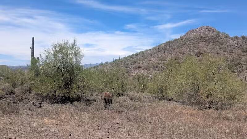 New River Kiwanis Park - New River, AZ