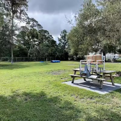 Dog Park - New Smyrna Beach, FL