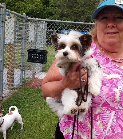 Dog Park - New Smyrna Beach, FL