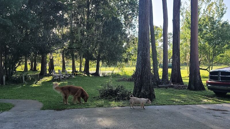 Dog Park - New Smyrna Beach, FL