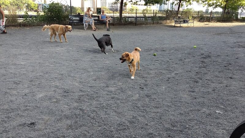 Andrew Haswell Green Dog Park - New York, NY