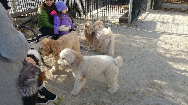Andrew Haswell Green Dog Park - New York, NY