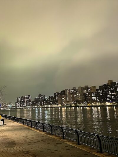 Andrew Haswell Green Dog Park - New York, NY