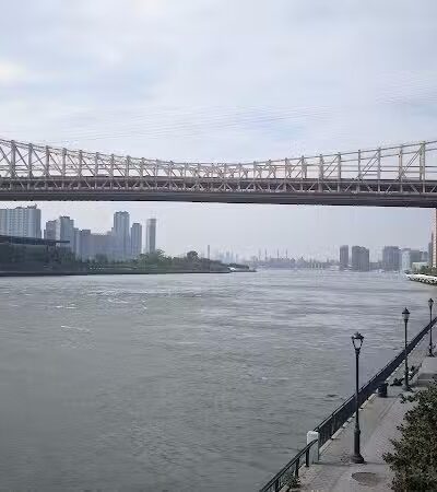 Andrew Haswell Green Dog Park - New York, NY