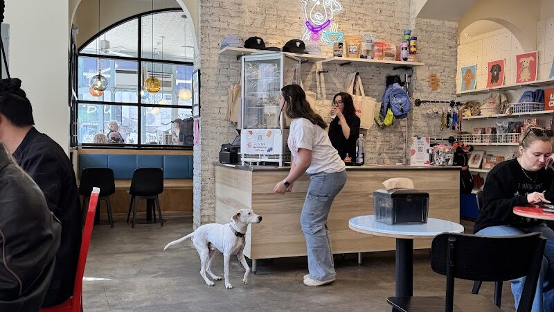 Boris & Horton - New York, NY