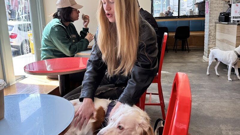 Boris & Horton - New York, NY