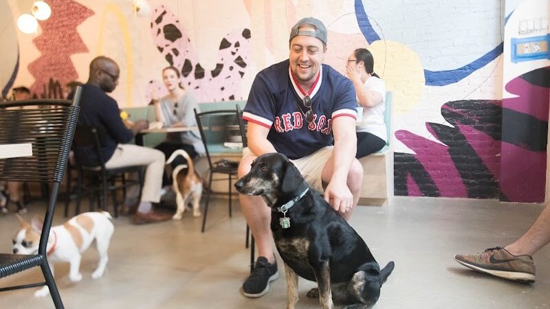 Boris & Horton - New York, NY