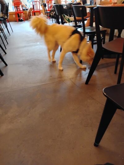 Boris & Horton - New York, NY