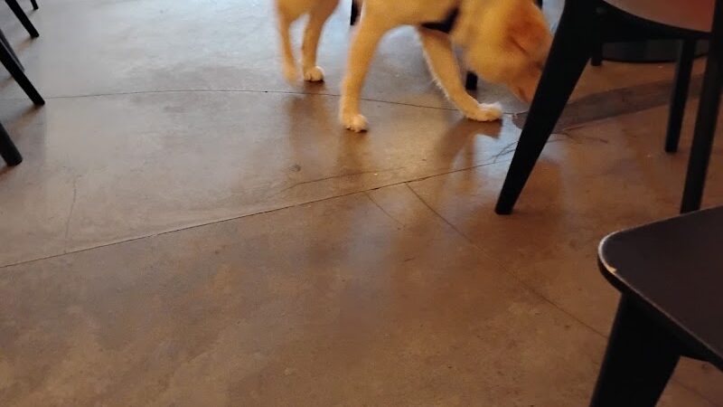 Boris & Horton - New York, NY