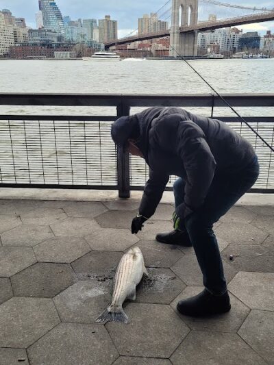 East River Greenway - New York, NY
