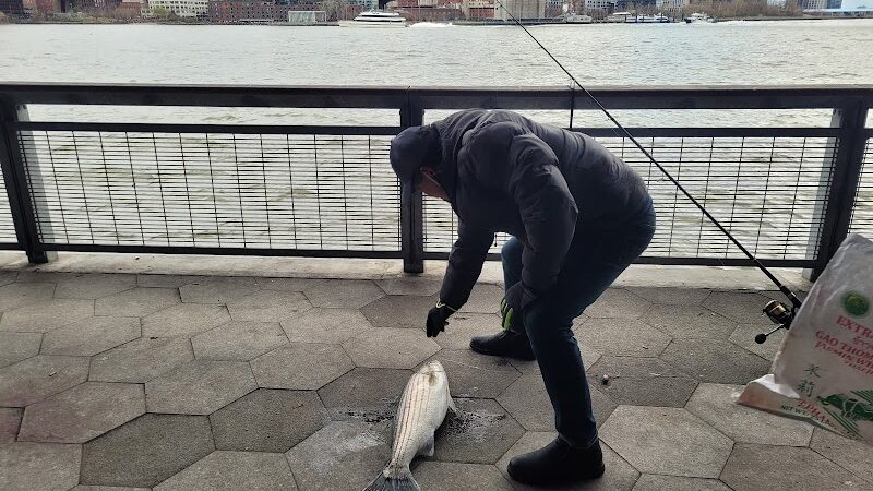 East River Greenway - New York, NY
