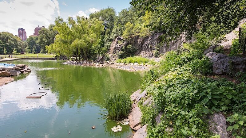 Friends of Morningside Park - New York, NY