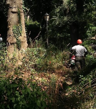 Friends of Morningside Park - New York, NY