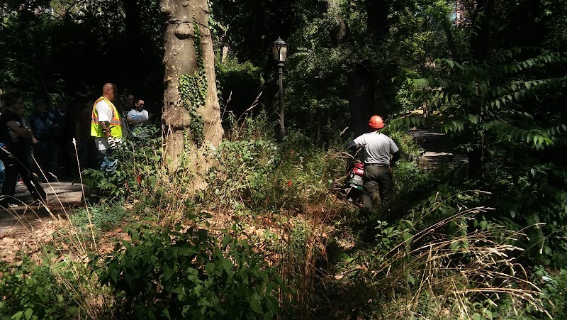 Friends of Morningside Park - New York, NY
