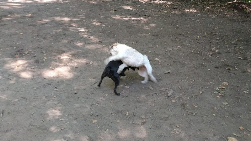 Friends of Morningside Park - New York, NY