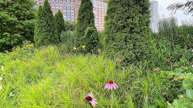Leroy Dog Run - New York, NY