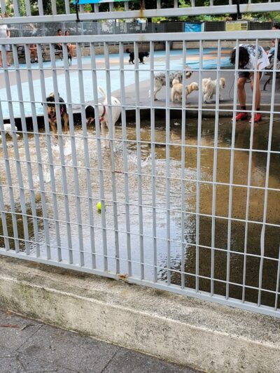 Leroy Street Dog Park - New York, NY