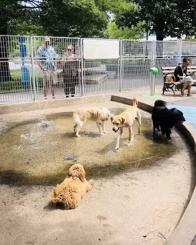 Leroy Street Dog Park - New York, NY