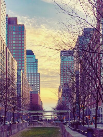 North End Dog Run - New York, NY