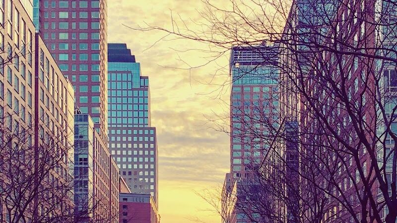 North End Dog Run - New York, NY