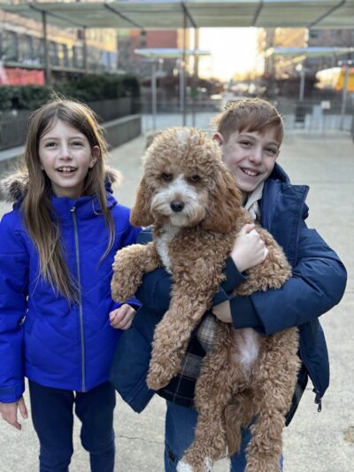 North End Dog Run - New York, NY