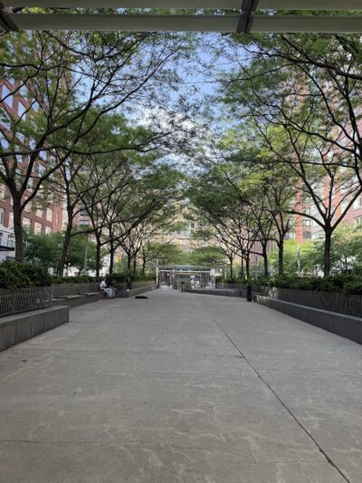 North End Dog Run - New York, NY