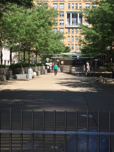 North End Dog Run - New York, NY