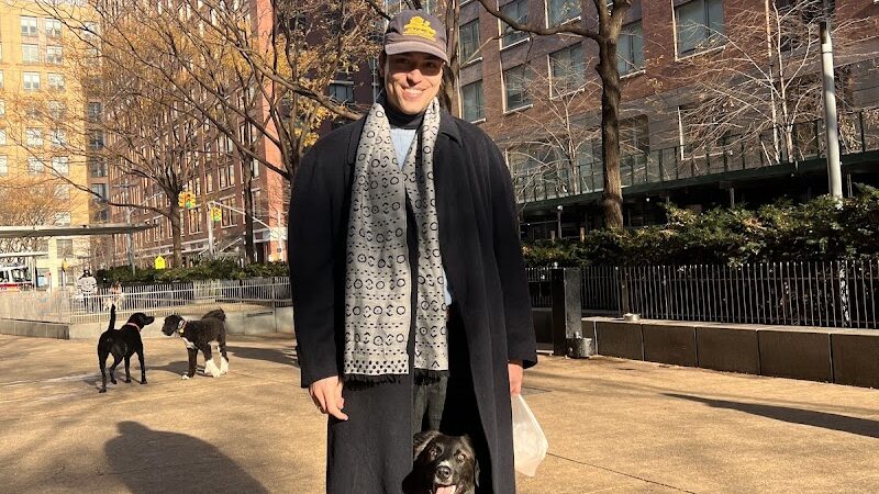 North End Dog Run - New York, NY