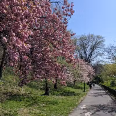 Riverside Park - New York, NY