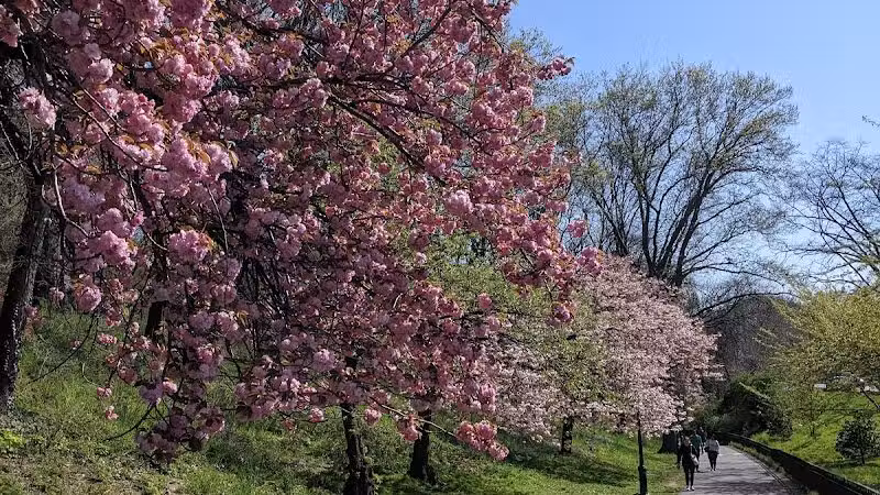 Riverside Park - New York, NY