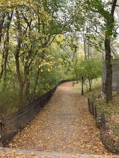 Riverside Park Conservancy - New York, NY