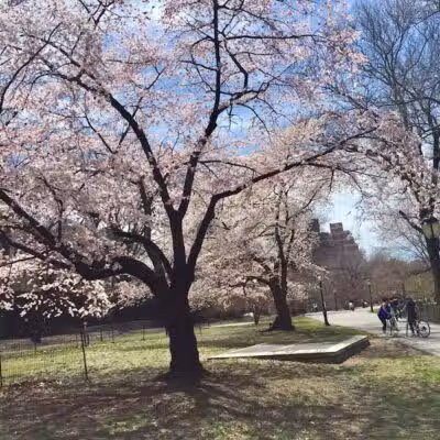 Riverside Park Conservancy - New York, NY