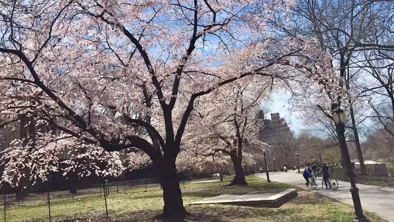 Riverside Park Conservancy - New York, NY