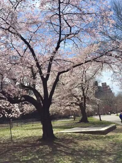 Riverside Park Conservancy - New York, NY